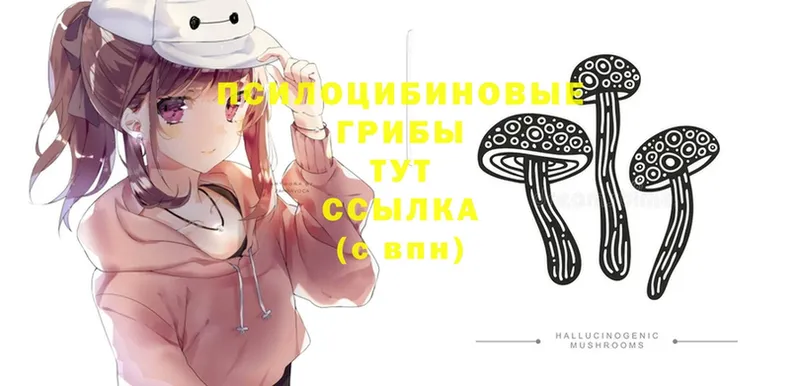 Галлюциногенные грибы GOLDEN TEACHER  Кирс 